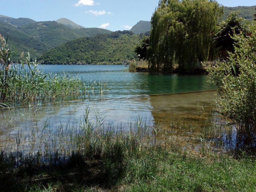 La vegetazione presente all'ingresso del lago di Scanno.